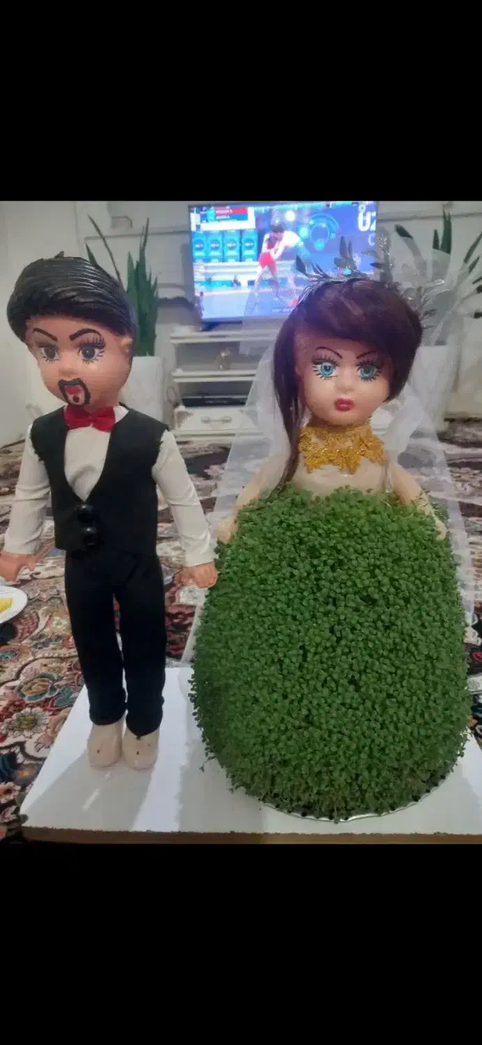 اجاره انواع سبزه مراسمات