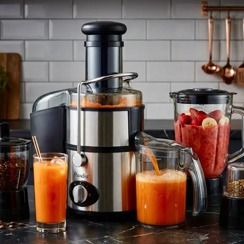 آبمیوه‌گیری چند کاره پارادایس آP-210 با قیمت مناسب